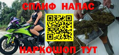 индика Новокубанск